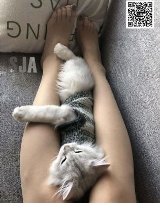 国产精品免费一二三_午夜伦不卡高清在线观看